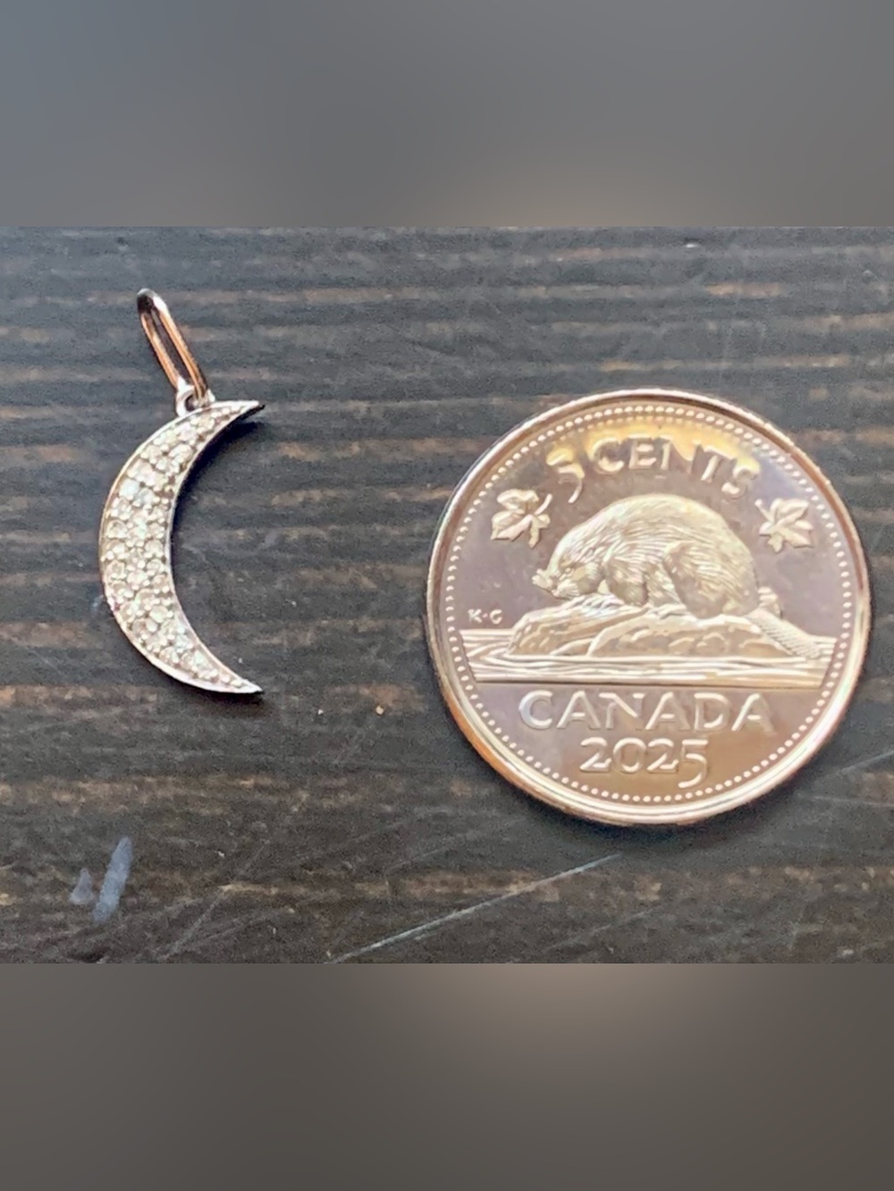 Mejuri 14 karat white gold crescent moon pendant
